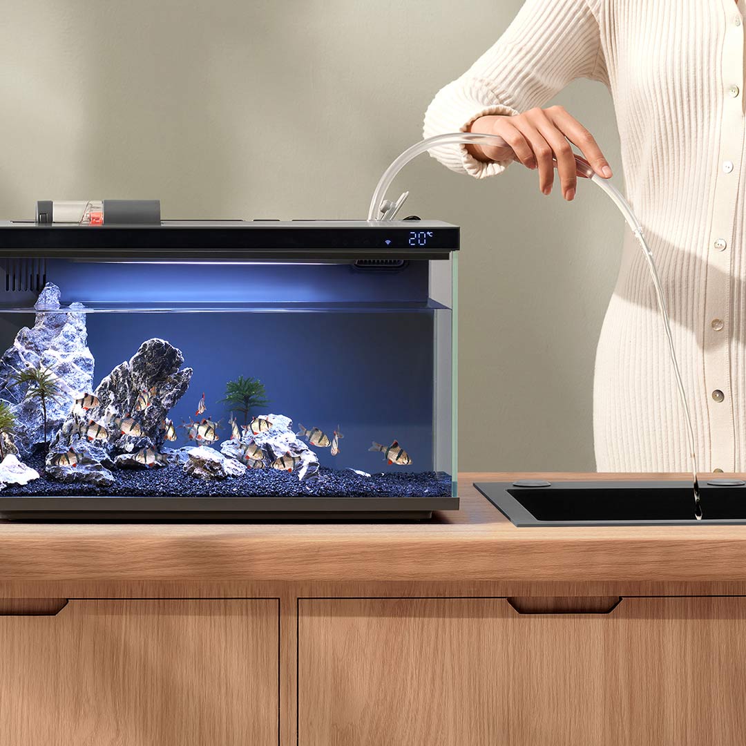 Xiaomi Mijia Smart Fish Tank M - مراجعة Smart Home Xiaomi Devices وسعره